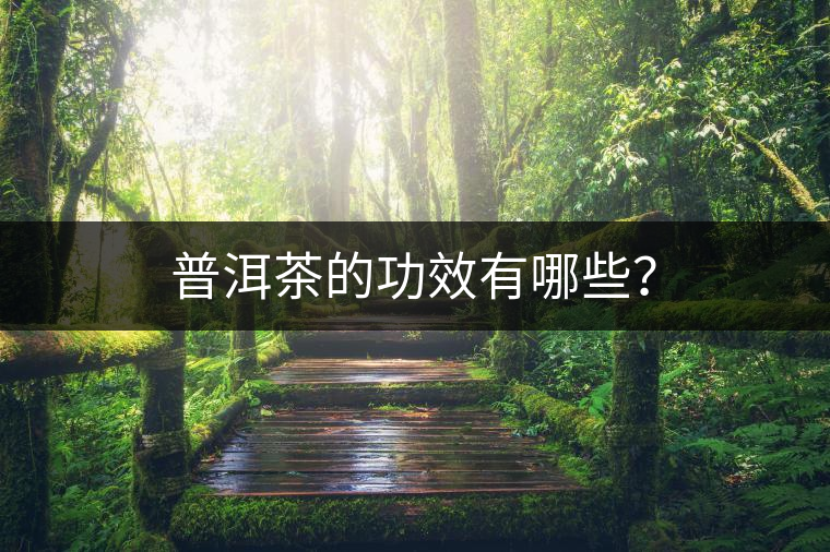 普洱茶的功效有哪些？