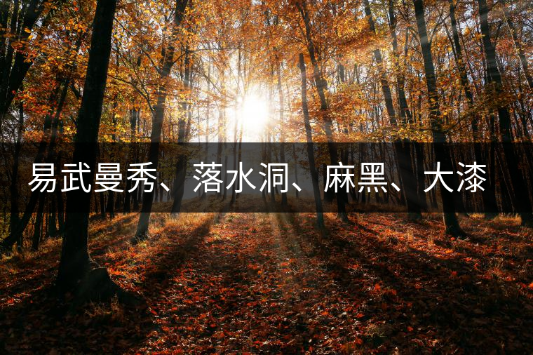 易武曼秀、落水洞、麻黑、大漆樹(shù)等你更喜歡哪個(gè)茶？