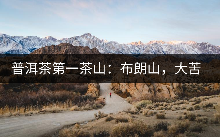 普洱茶第一茶山：布朗山，大苦大甘是它的魂