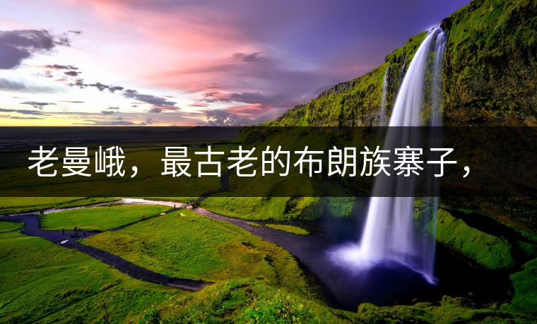 老曼峨，最古老的布朗族寨子，最極端的普洱茶