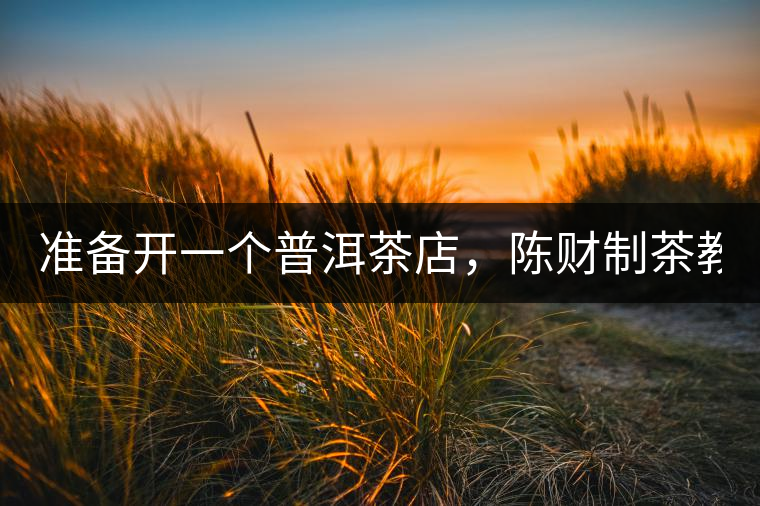 準備開一個普洱茶店，陳財制茶教你怎么做！