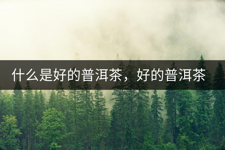 什么是好的普洱茶，好的普洱茶必須要有好的工藝！