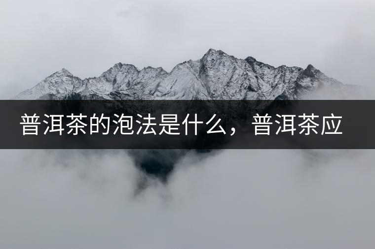 普洱茶的泡法是什么，普洱茶應該怎么泡？