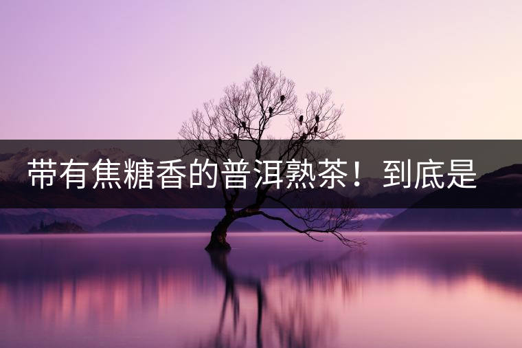 帶有焦糖香的普洱熟茶！到底是好是壞？