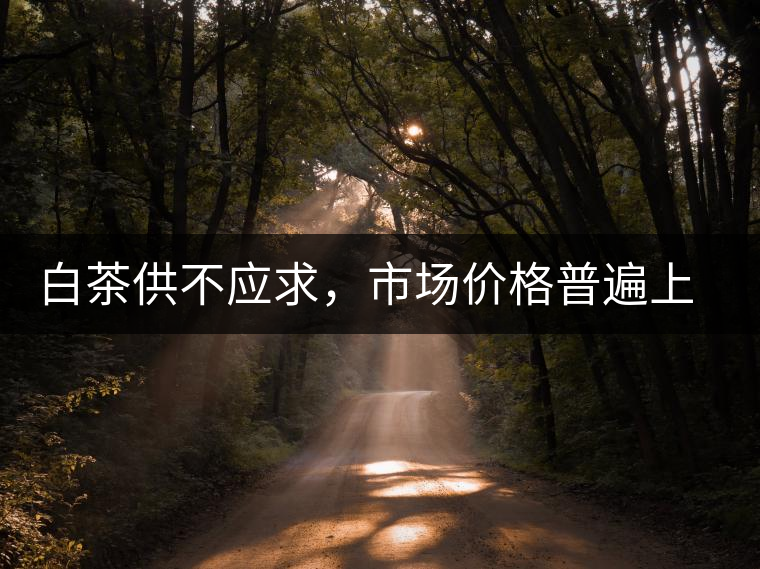 白茶供不應求，市場價格普遍上漲？