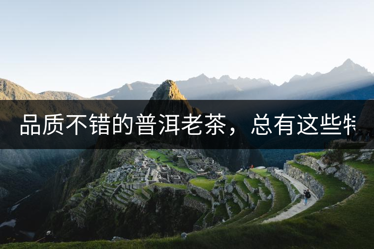 品質不錯的普洱老茶，總有這些特點！
