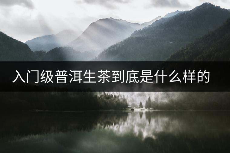 入門級(jí)普洱生茶到底是什么樣的口感？