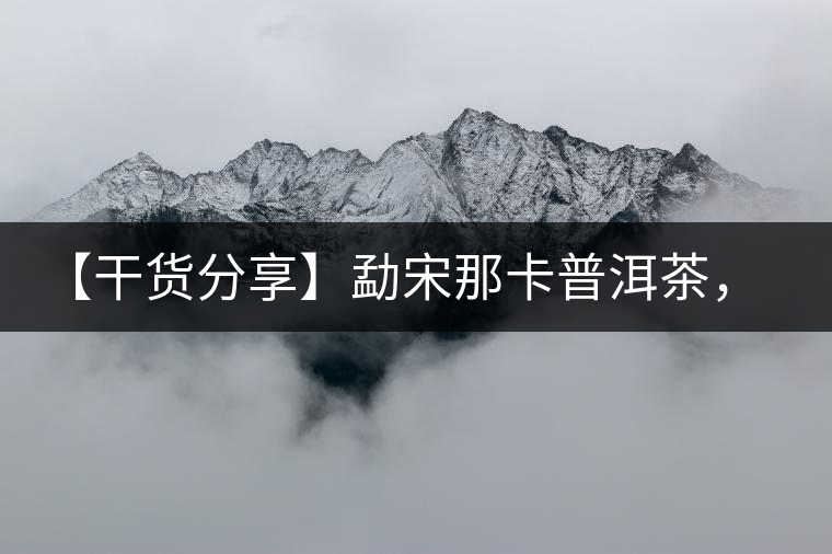 【干貨分享】勐宋那卡普洱茶，不僅僅是小班章那么單純！