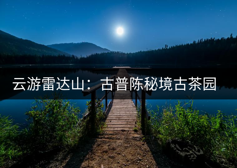 云游雷達(dá)山：古普陳秘境古茶園，品第一杯春鮮