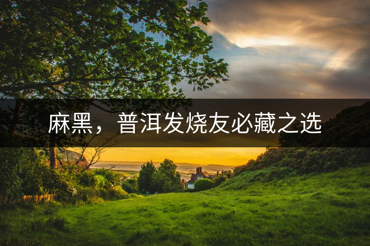 麻黑，普洱發(fā)燒友必藏之選