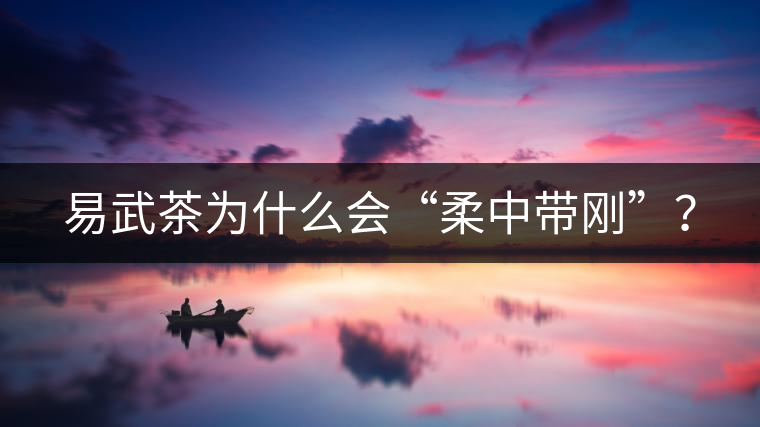 易武茶為什么會“柔中帶剛”？