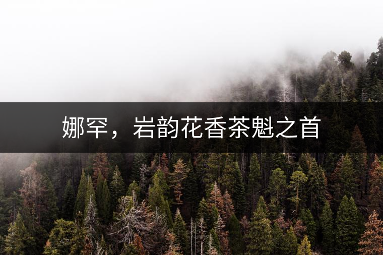 娜罕，巖韻花香茶魁之首