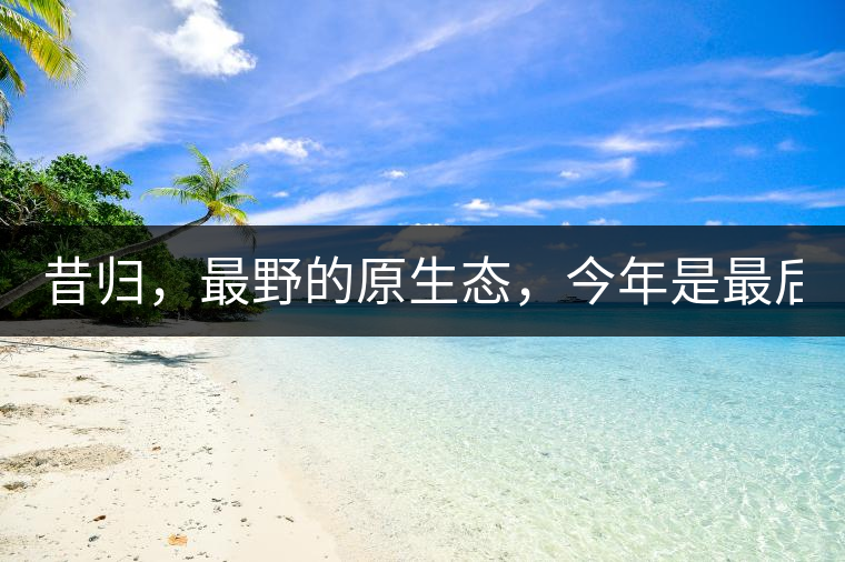 昔歸，最野的原生態(tài)，今年是最后一年了！