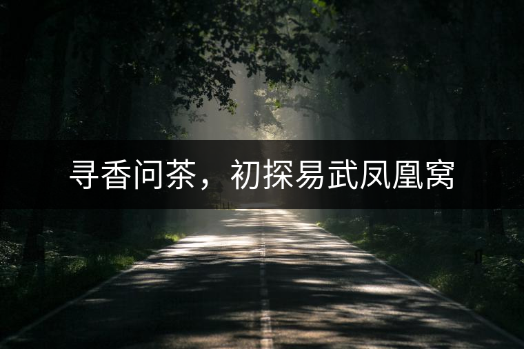 尋香問茶，初探易武鳳凰窩