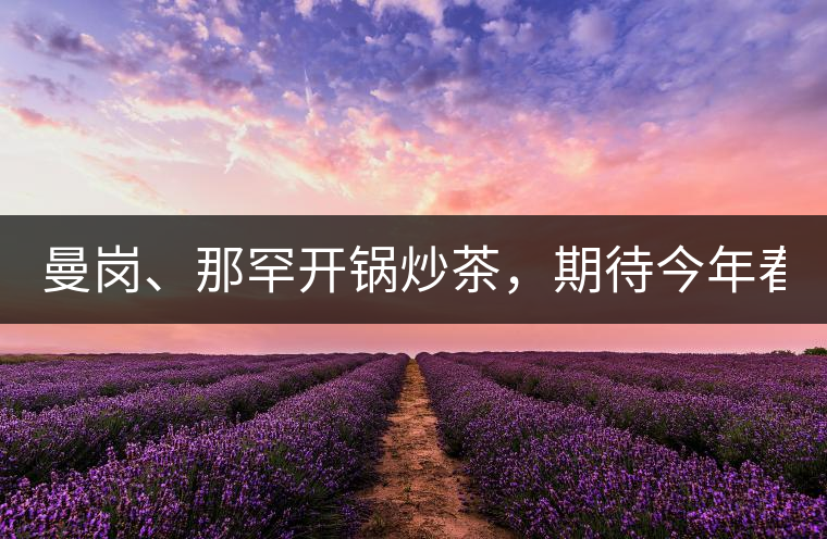 曼崗、那罕開鍋炒茶，期待今年春茶！