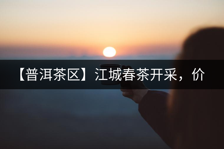 【普洱茶區(qū)】江城春茶開采，價格漲幅小