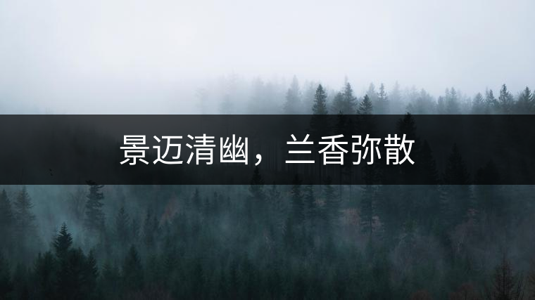 景邁清幽，蘭香彌散