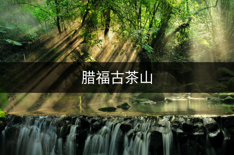 臘福古茶山 臘福古茶山