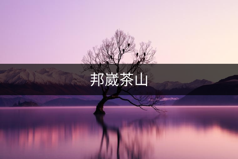 邦崴茶山 邦崴茶山