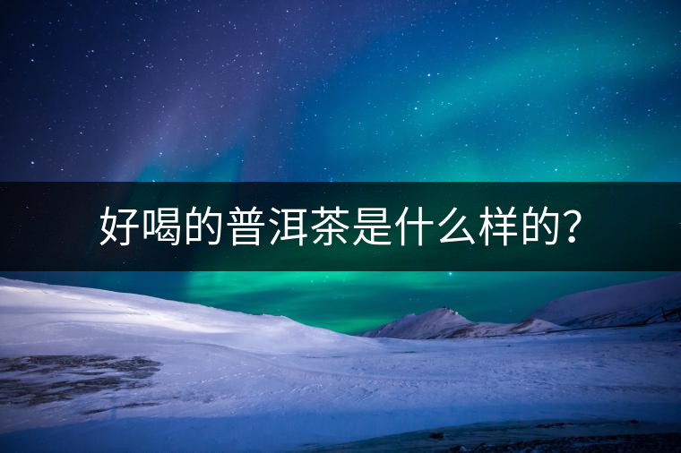 好喝的普洱茶是什么樣的？