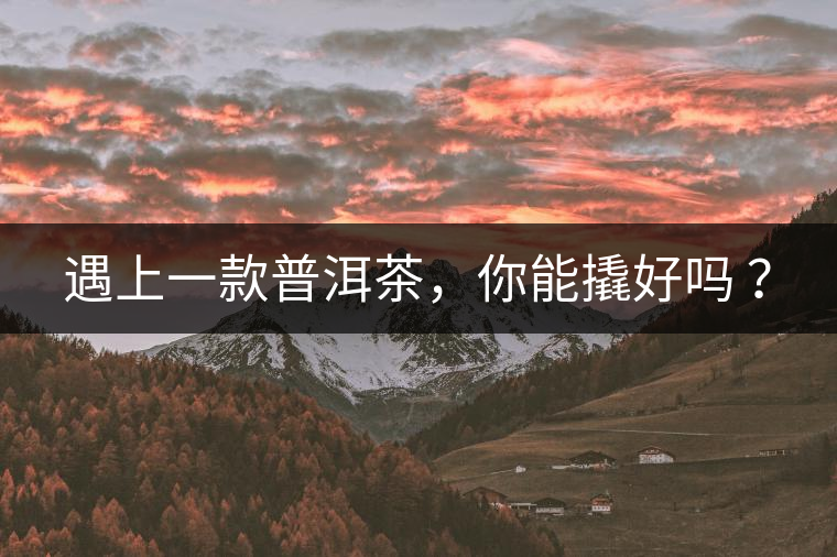 遇上一款普洱茶，你能撬好嗎 ？