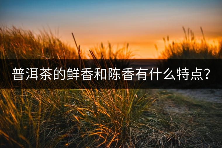 普洱茶的鮮香和陳香有什么特點(diǎn)？