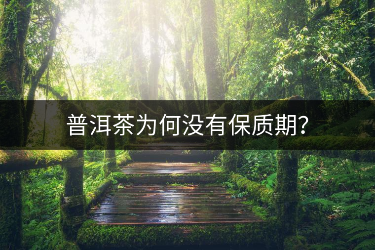 普洱茶為何沒有保質(zhì)期？