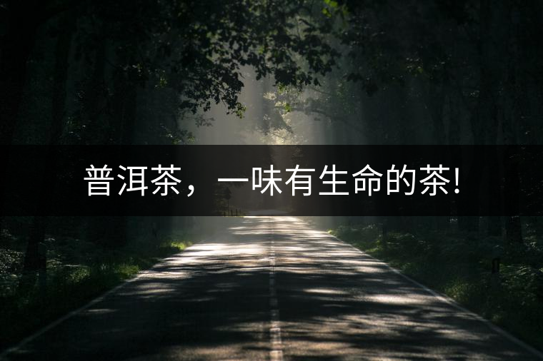 普洱茶，一味有生命的茶!