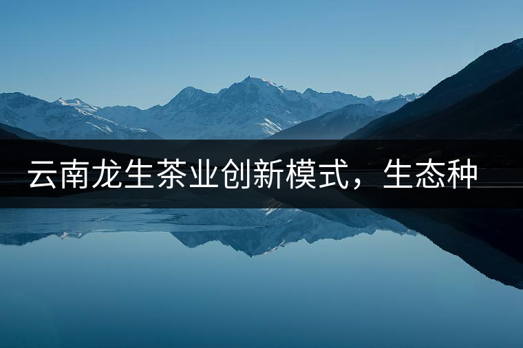 云南龍生茶業(yè)創(chuàng)新模式，生態(tài)種植