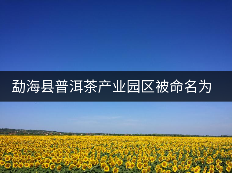 勐海縣普洱茶產(chǎn)業(yè)園區(qū)被命名為 