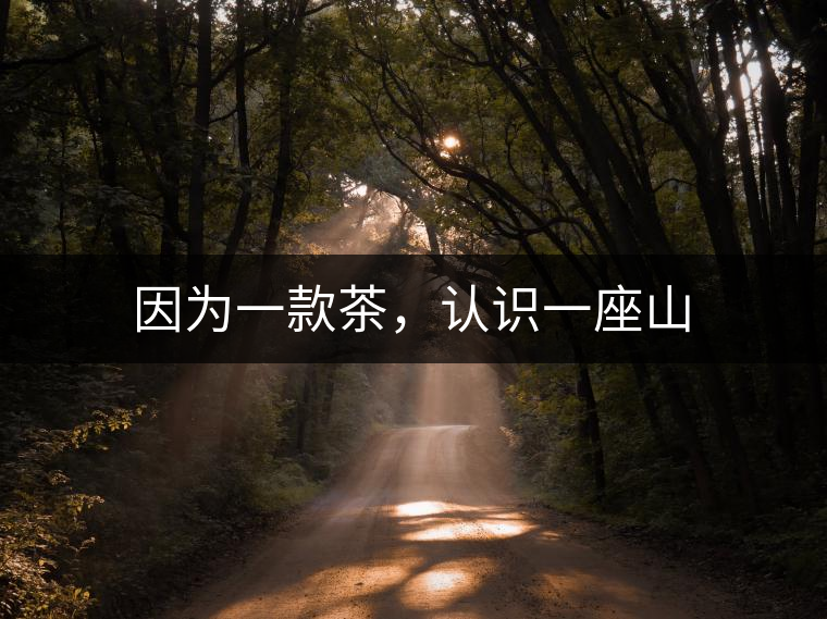 因?yàn)橐豢畈瑁J(rèn)識一座山