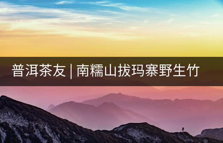 普洱茶友 | 南糯山拔瑪寨野生竹蓀給看過？