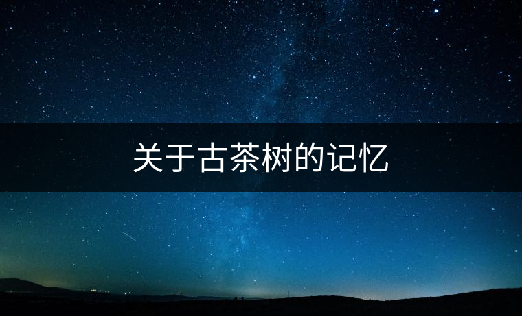 關于古茶樹的記憶