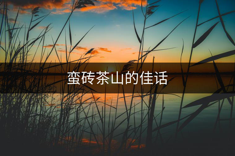 蠻磚茶山的佳話 蠻磚茶山的佳話