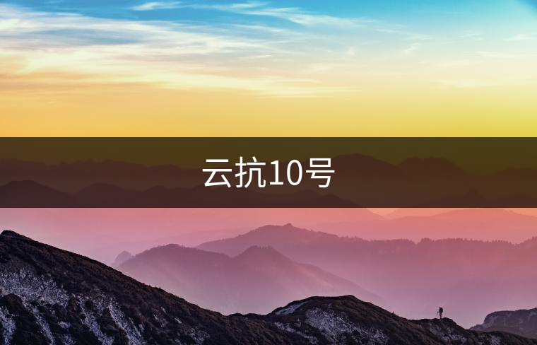 云抗10號(hào) 云抗10號(hào)