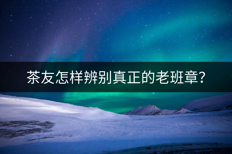 茶友怎樣辨別真正的老班章？