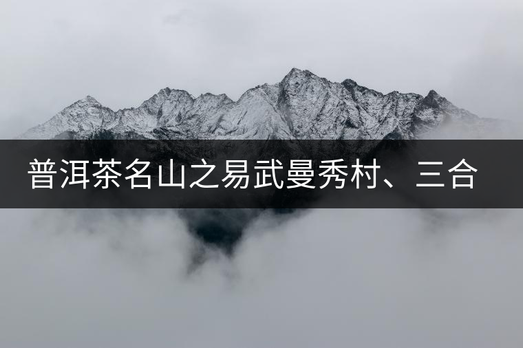 普洱茶名山之易武曼秀村、三合社村