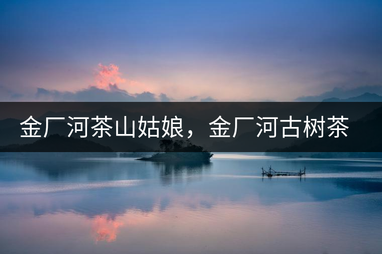 金廠河茶山姑娘，金廠河古樹茶特點(diǎn)與價格