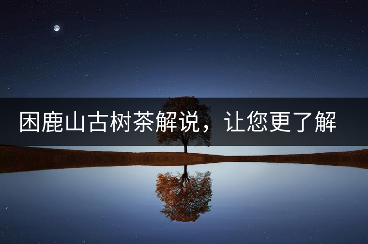 困鹿山古樹茶解說，讓您更了解古樹貢茶