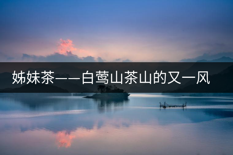 姊妹茶——白鶯山茶山的又一風(fēng)景線(xiàn) 姊妹茶——白鶯山茶山的又一風(fēng)景線(xiàn)