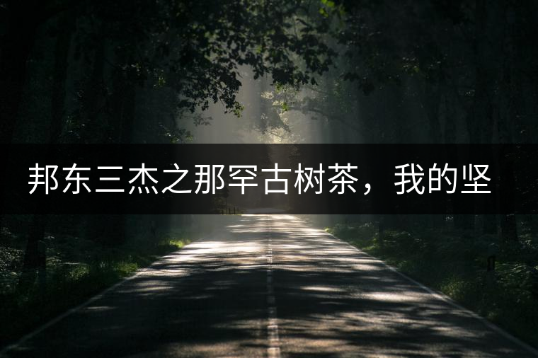 邦東三杰之那罕古樹(shù)茶，我的堅(jiān)持