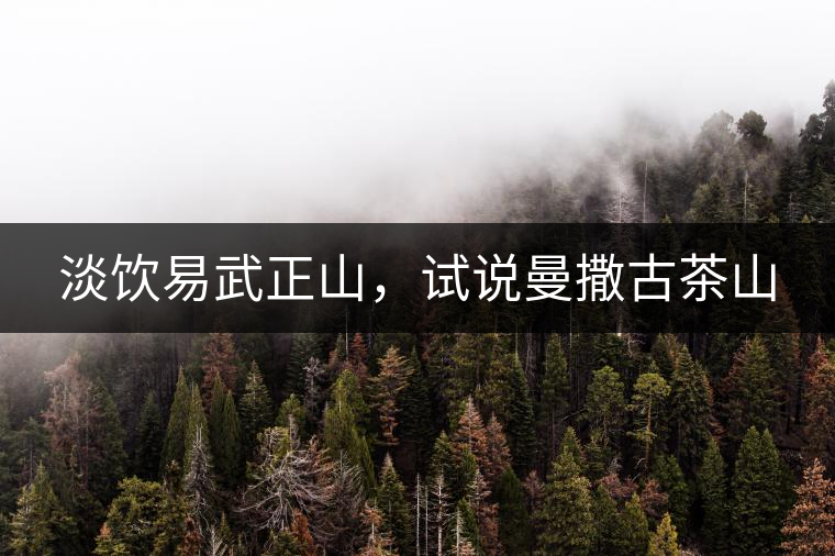 淡飲易武正山，試說曼撒古茶山