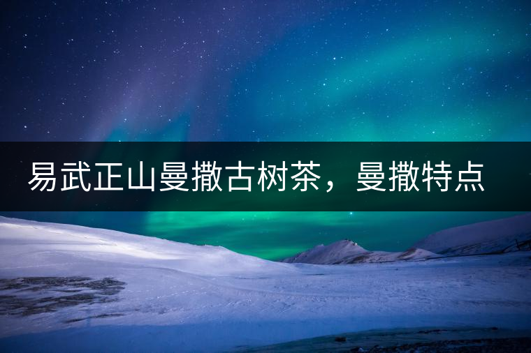 易武正山曼撒古樹茶，曼撒特點分享介紹