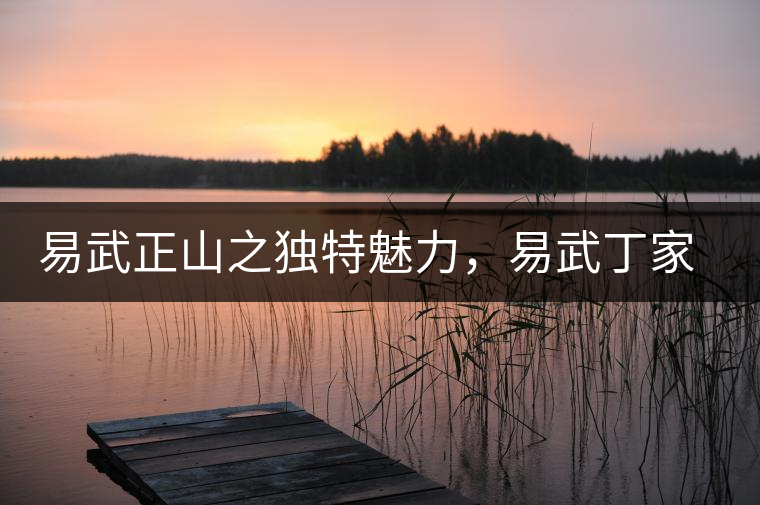 易武正山之獨特魅力，易武丁家寨介紹品鑒