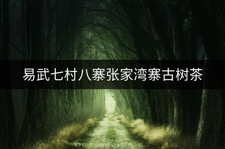 易武七村八寨張家灣寨古樹茶