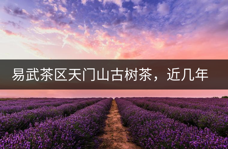 易武茶區(qū)天門(mén)山古樹(shù)茶，近幾年的熱門(mén)山頭