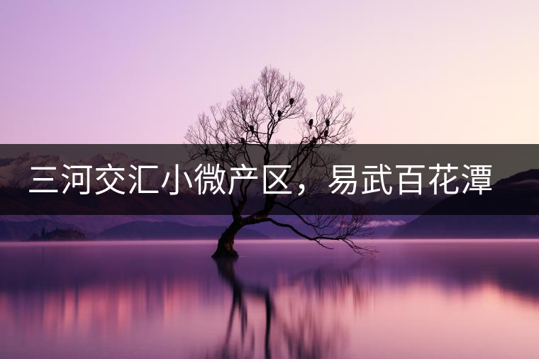 三河交匯小微產(chǎn)區(qū)，易武百花潭古茶園介紹