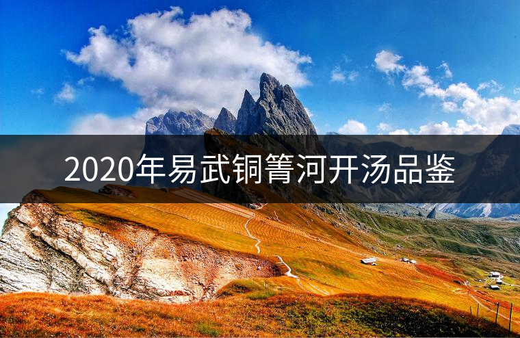 2020年易武銅箐河開湯品鑒 2020年易武銅箐河開湯品鑒