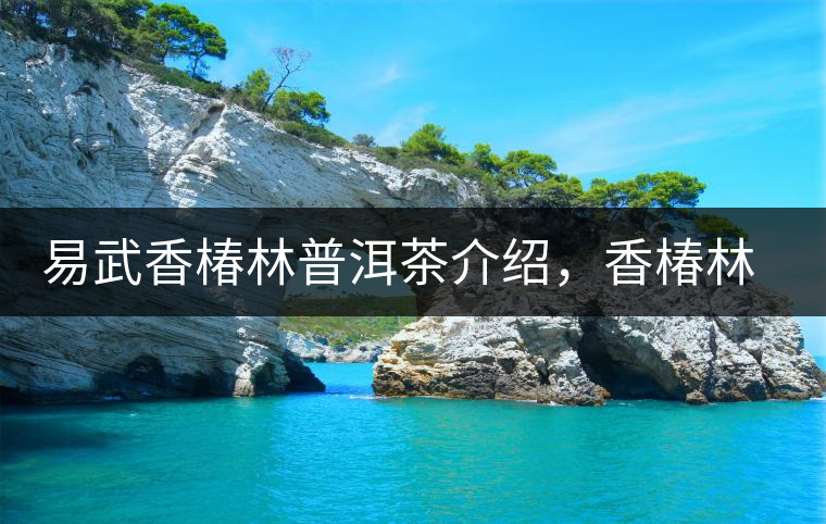 易武香椿林普洱茶介紹，香椿林古樹茶口感特點(diǎn)