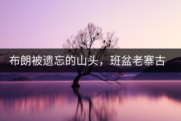 布朗被遺忘的山頭，班盆老寨古茶園介紹